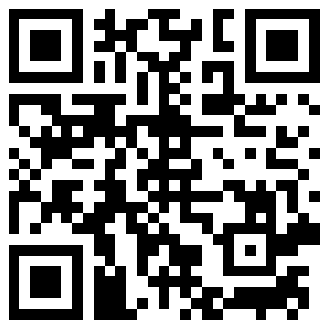 QR-код бота в Max