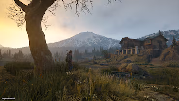 Days Gone™ — скриншот 5