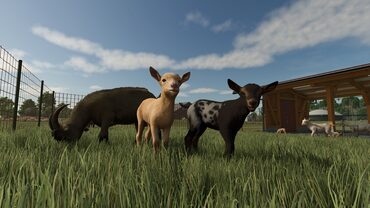 Farming Simulator 25: Year 1 Season Pass — скриншот 3