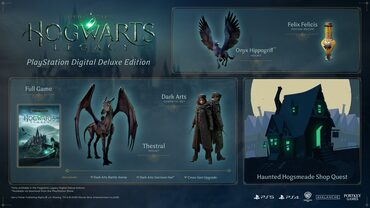 Hogwarts Legacy: Digital Deluxe Edition — скриншот 5