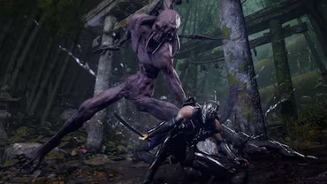 Ninja Gaiden 4 The Two Masters — скриншот 2