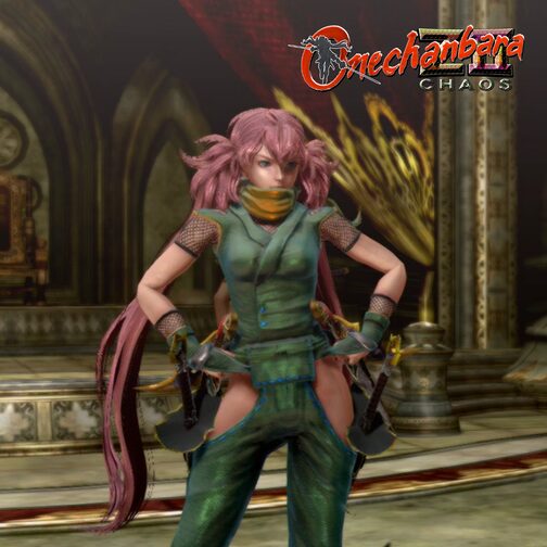 Onechanbara Z2: Chaos — The Ninja