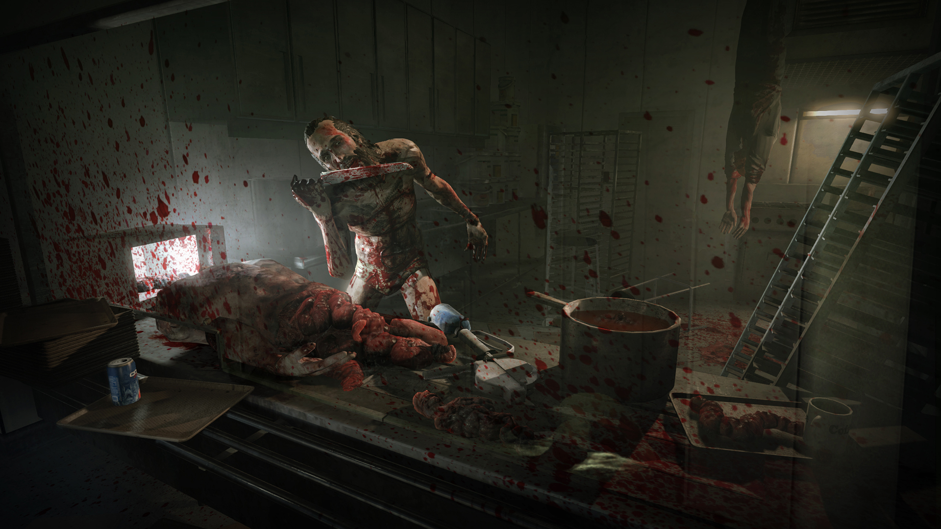 Outlast Whistleblower — скриншот 1