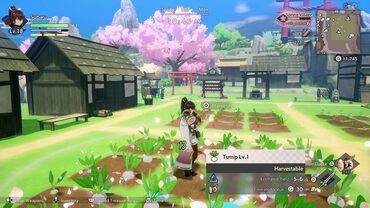 Rune Factory: Guardians of Azuma — скриншот 6
