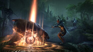 The Elder Scrolls Online (PS4) — скриншот 1