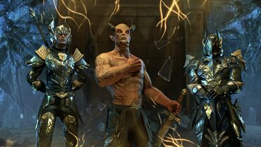 The Elder Scrolls Online (PS4) — скриншот 2
