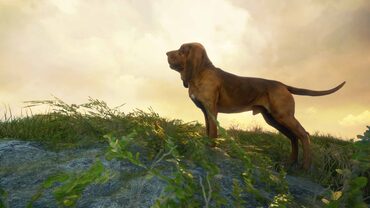 theHunter: Call of the Wild™ - Bloodhound — скриншот 1