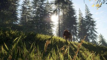 theHunter: Call of the Wild™ - Bloodhound — скриншот 2