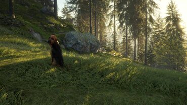 theHunter: Call of the Wild™ - Bloodhound — скриншот 3
