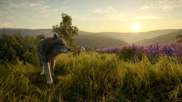 theHunter: Call of the Wild - Cuatro Colinas Game Reserve — скриншот 1