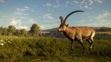 theHunter: Call of the Wild - Cuatro Colinas Game Reserve — скриншот 3