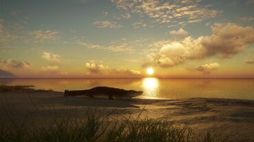 theHunter: Call of the Wild™ - Emerald Coast Australia — скриншот 2