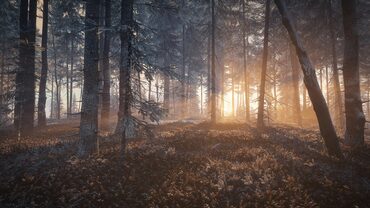 theHunter: Call of the Wild™ - Hunting Reserves Pack — скриншот 1