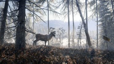 theHunter: Call of the Wild - Medved-Taiga — скриншот 1