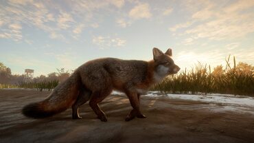 theHunter: Call of the Wild™ - Mississippi Acres Preserve — скриншот 2