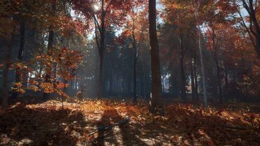 theHunter: Call of the Wild™ - New England Mountains — скриншот 2
