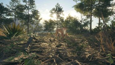 theHunter: Call of the Wild™ - Rancho del Arroyo — скриншот 2