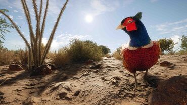 theHunter: Call of the Wild™ - Rancho del Arroyo — скриншот 3