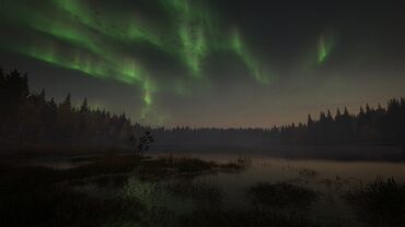 theHunter: Call of the Wild™ - Revontuli Coast — скриншот 2