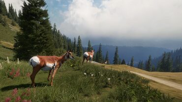 theHunter: Call of the Wild - Silver Ridge Peaks — скриншот 2