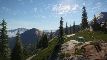 theHunter: Call of the Wild - Silver Ridge Peaks — скриншот 3