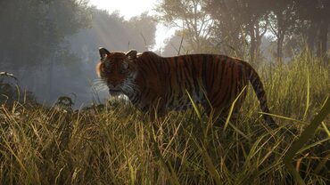 theHunter: Call of the Wild™ - Sundarpatan Nepal Hunting Reserve — скриншот 1