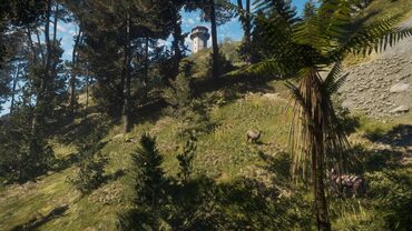 theHunter: Call of the Wild™ - Te Awaroa National Park — скриншот 1