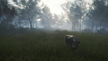 theHunter: Call of the Wild™ - Te Awaroa National Park — скриншот 3