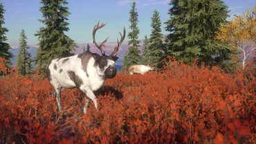 theHunter: Call of the Wild - Yukon Valley — скриншот 3