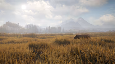 theHunter: Call of the Wild™ — скриншот 1