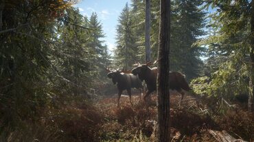 theHunter: Call of the Wild™ — скриншот 6
