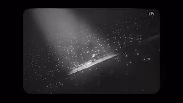 White Shadows — скриншот 1